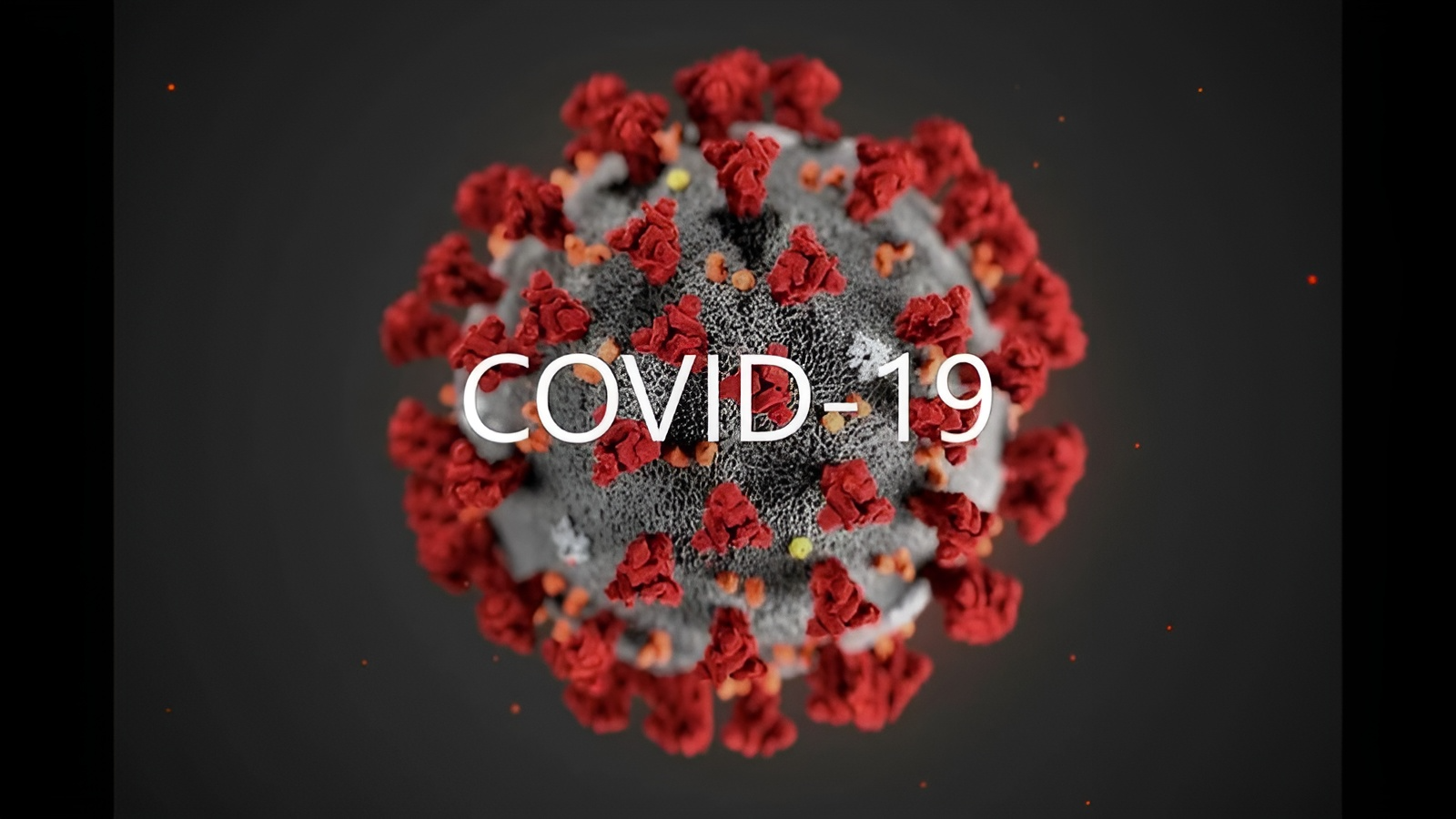 COVID - 19.